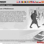 Les nouvelles arnaques du web 2012